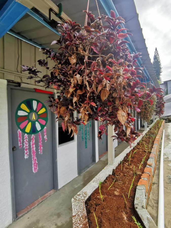 Dreamcatcher Homestay, Kundasang Ranau Exteriér fotografie